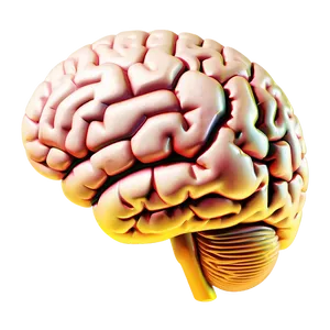 Cognitive Brain Emoji Png 64 PNG Image