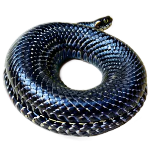 Coiled Black Snake Icon Png Rti PNG Image