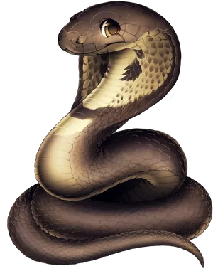 Coiled Snake Illustration PNG Image