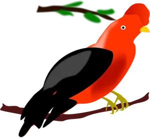 Colorful Andean Cockoftherock Bird PNG Image