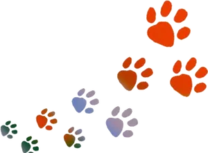 Colorful Animal Paw Prints PNG Image