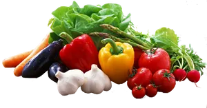 Colorful Assortmentof Vegetables PNG Image