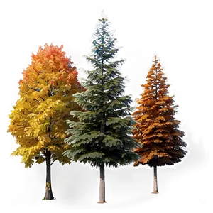 Colorful Autumn Trees Lineup Png 06212024 PNG Image