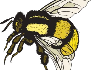 Colorful Bee Clipart PNG Image