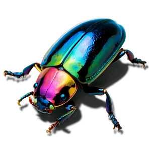 Colorful Beetles Png 06242024 PNG Image