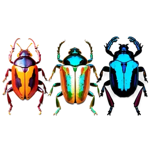 Colorful Beetles Png 60 PNG Image