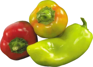 Colorful Bell Peppers Assortment PNG Image