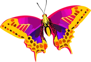 Colorful Butterfly Illustration PNG Image