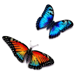 Colorful Butterfly Png 06262024 PNG Image