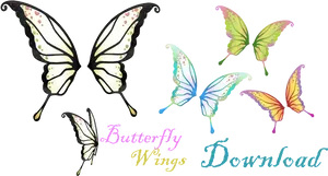 Colorful Butterfly Wings Collection PNG Image