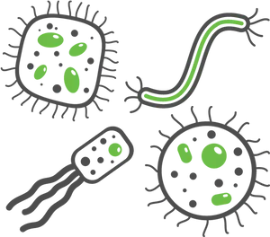 Colorful Cartoon Bacteria Illustration PNG Image