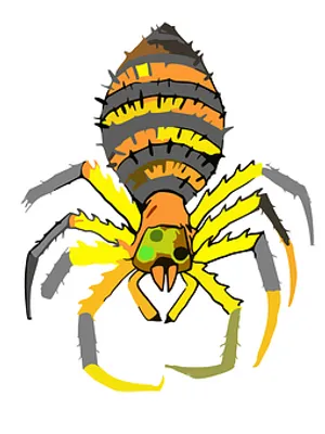 Colorful Cartoon Spider PNG Image