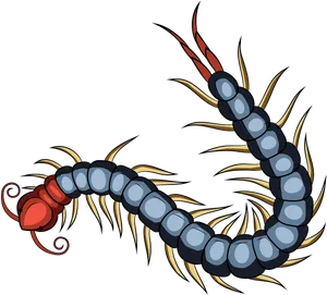 Colorful Centipede Illustration PNG Image