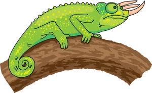 Colorful Chameleon Illustration PNG Image