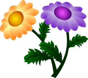 Colorful Chrysanthemum Vector Illustration PNG Image