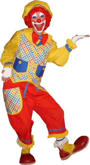 Colorful Clown Pose.jpg PNG Image