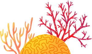 Colorful Coral Reef Illustration PNG Image