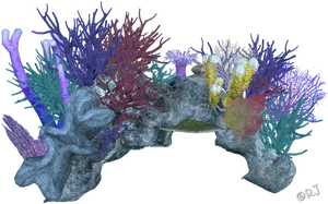 Colorful_ Coral_ Reef_ Simulation PNG Image