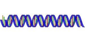 Colorful D N A Double Helix Structure PNG Image