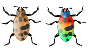 Colorful Digital Beetles Illustration PNG Image