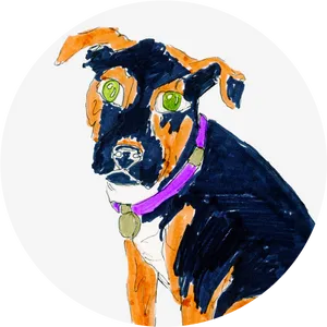 Colorful Dog Sketch Artwork PNG Image