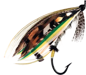 Colorful Feather Fishing Fly PNG Image