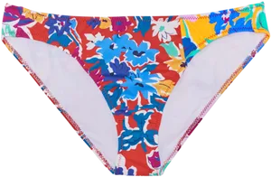 Colorful Floral Bikini Bottom PNG Image