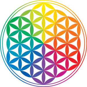 Colorful Flowerof Life Pattern PNG Image