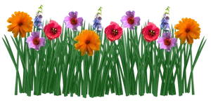 Colorful Flowers Transparent Background PNG Image