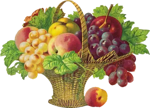 Colorful Fruit Basket Illustration PNG Image