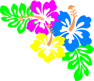 Colorful Hawaiian Flowers Illustration PNG Image