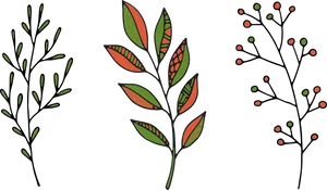 Colorful Herbs Illustration PNG Image