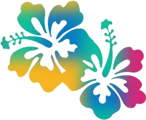 Colorful Hibiscus Silhouette Graphic PNG Image