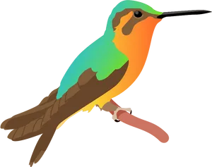 Colorful Hummingbird Illustration PNG Image