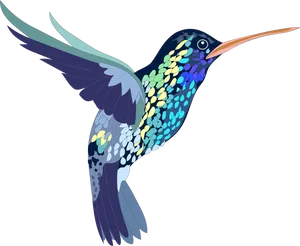 Colorful Hummingbird Illustration PNG Image