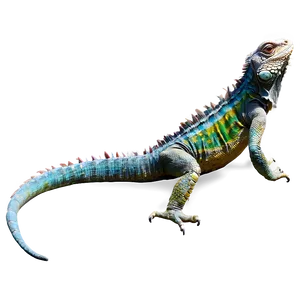 Colorful Iguana Png Jfd PNG Image