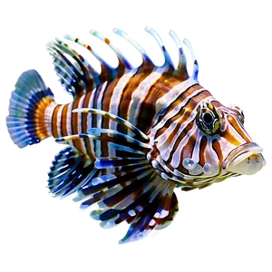 Colorful Lionfish Png Sxk PNG Image