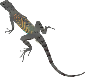 Colorful Lizard Illustration PNG Image