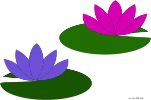 Colorful Lotus Flowers Illustration PNG Image