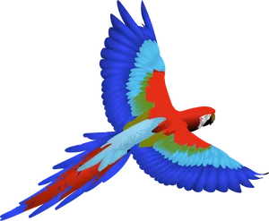 Colorful Macaw In Flight PNG Image