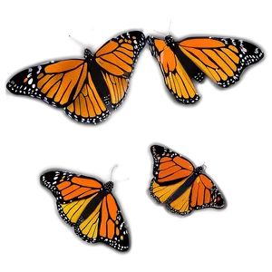 Colorful Monarch Butterflies Png 06252024 PNG Image