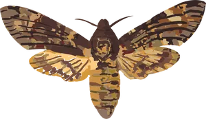 Colorful Moth Illustration PNG Image