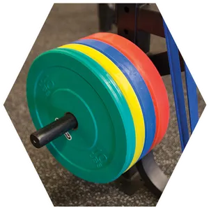 Colorful Olympic Weight Plates PNG Image