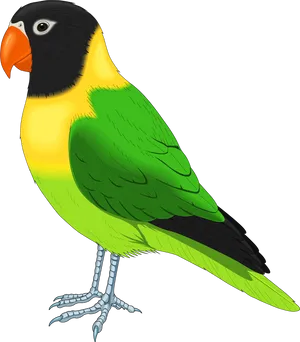 Colorful Parrot Illustration PNG Image