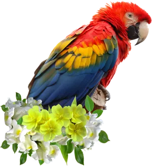 Colorful Parroton Flowers PNG Image