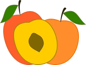 Colorful Peach Graphic PNG Image