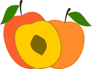 Colorful Peach Illustration PNG Image