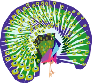 Colorful Peacock Display Illustration PNG Image