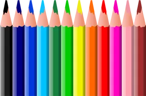 Colorful Pencil Row PNG Image