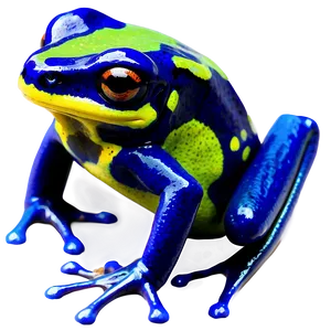 Colorful Poison Dart Frog Png 06132024 PNG Image